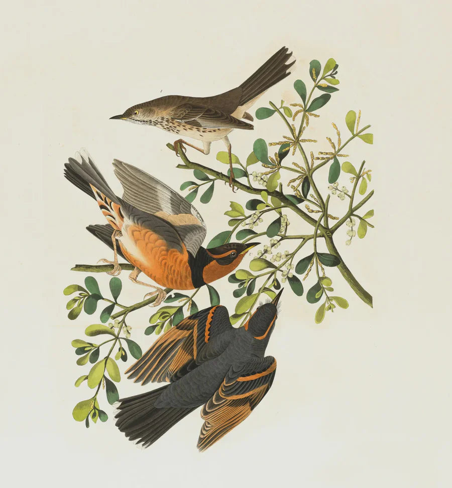 Discover The Top Canvas Painting Techniques